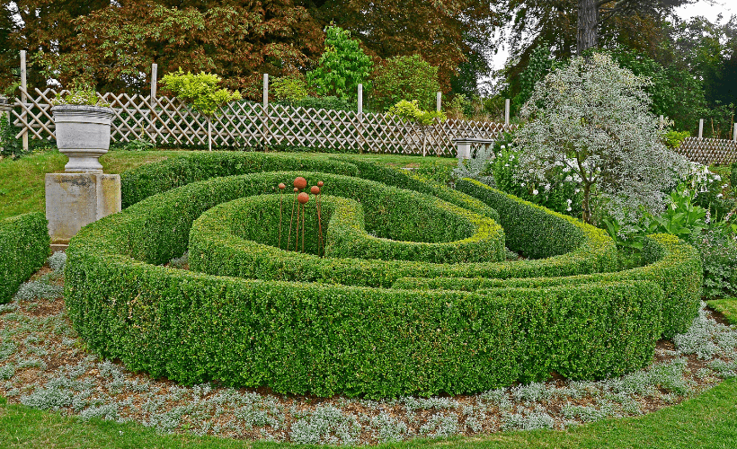 Right topiary for garden conditions