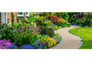 low-maintenance-gardening-uk-gardeners-1