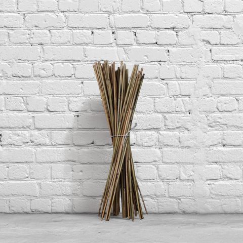 Canes (90cm)