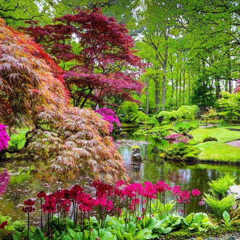 Japanese Garden Signature Collection