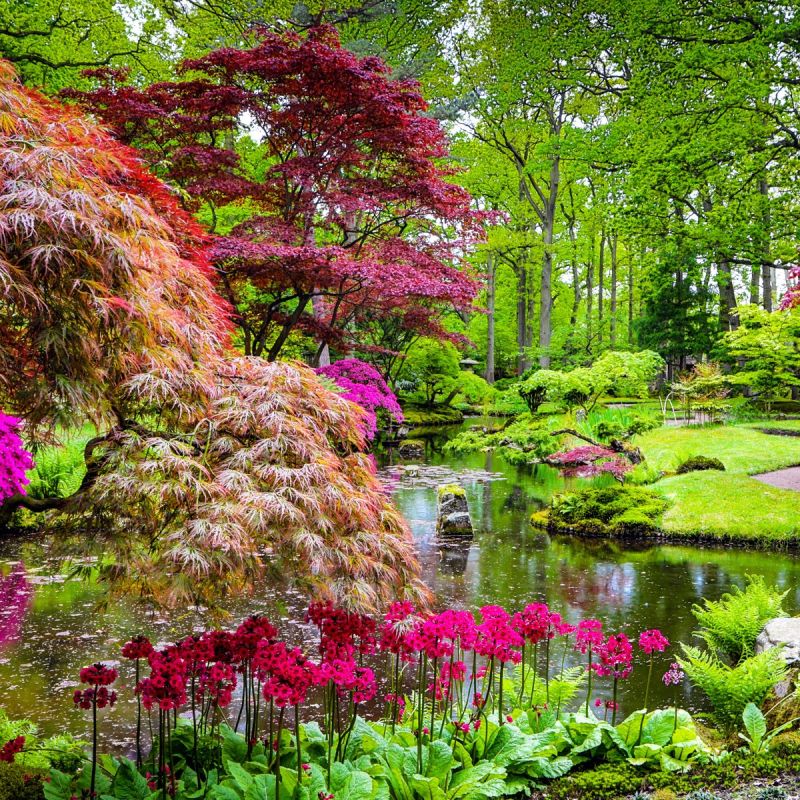 Japanese Style Garden Signature