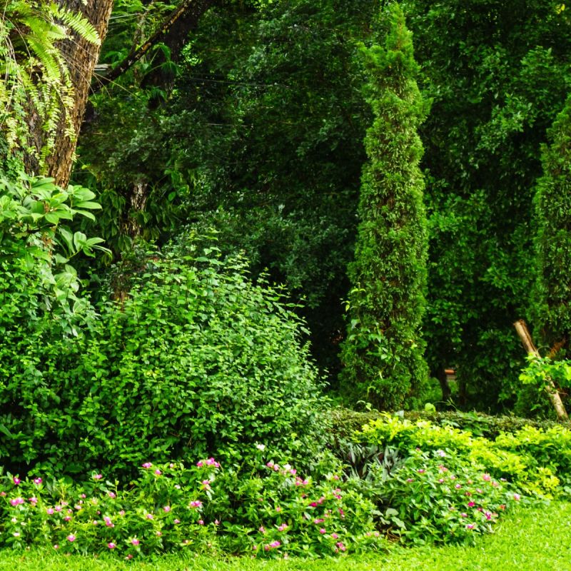 Monotone Garden Signature Collection