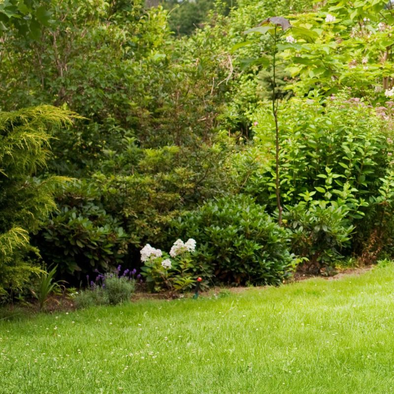Monotone Garden Starter Collection
