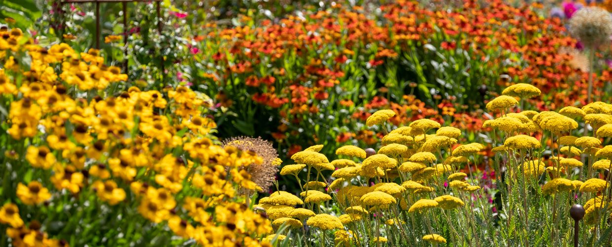 Simply Plants Is Proud to Be Plant Healthy Certified 