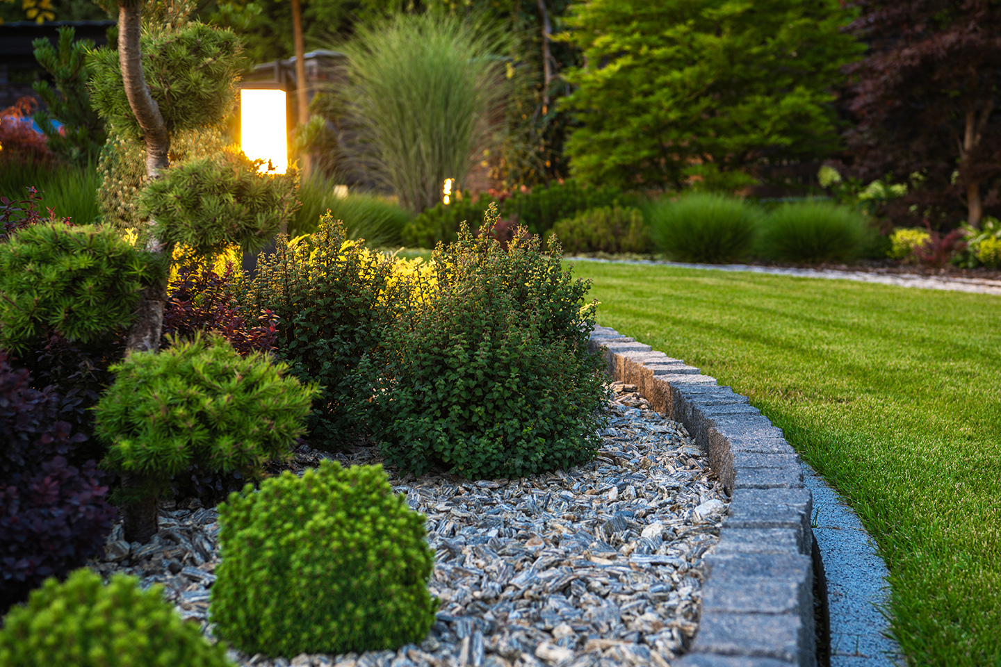 Beautiful garden with lush plants and landscaping