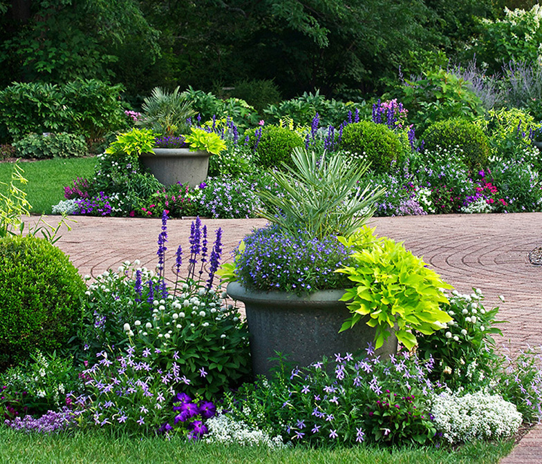 Low Maintenance Plants